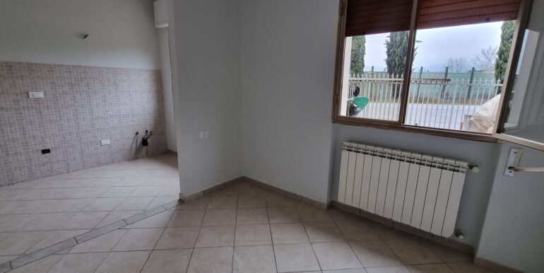 foto (36)