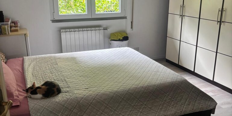 foto (5)